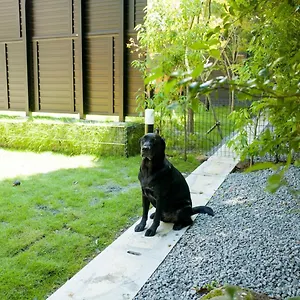 https://rakuten-stay-villa-hakone-sengokuhara-vacation-stay-41244v.hotelshakone.com
